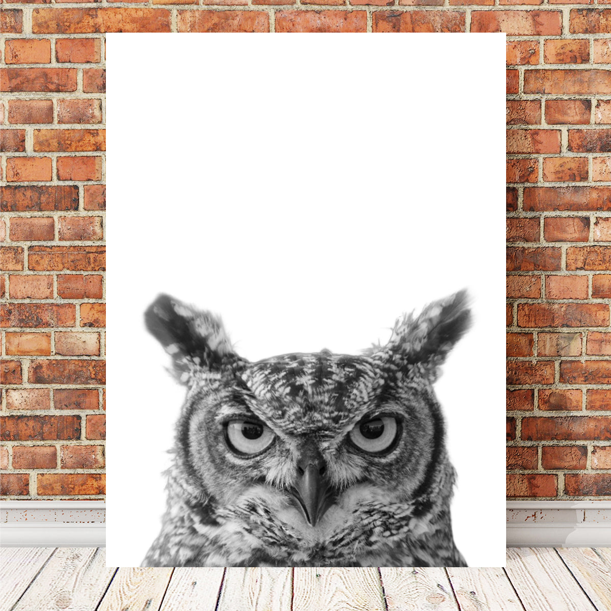 Stunning Owl Wall Art by Lawisi