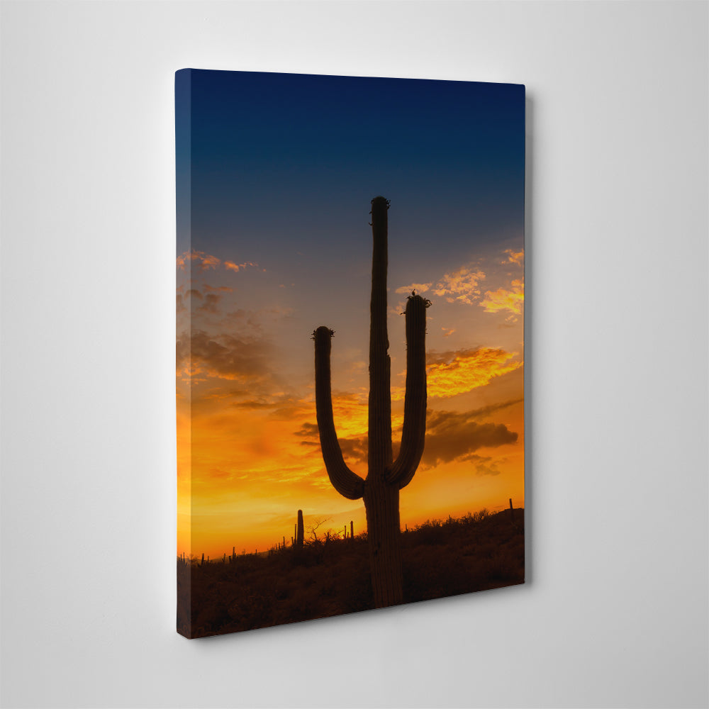 Breathtaking Saguaro National Park Sunset Wall Art by Melanie Viola