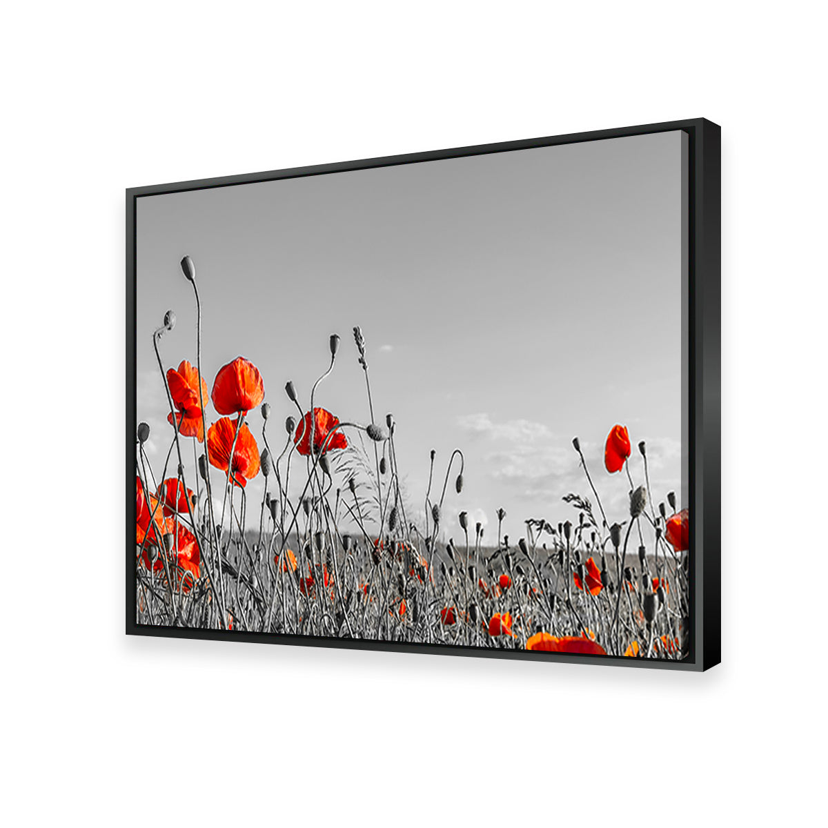 Gorgeous Lovely Poppy Field Wall Art for Home Decor