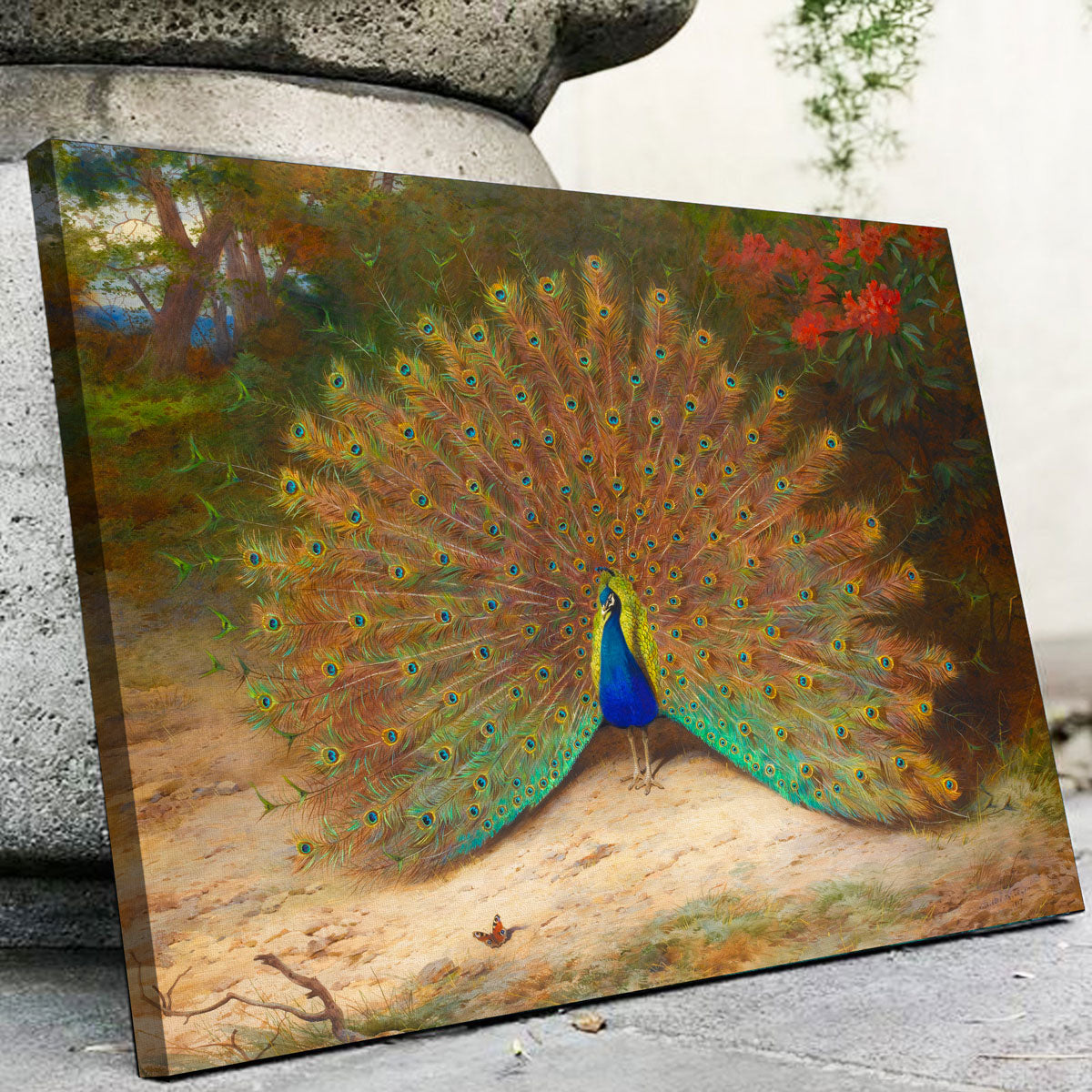 Exquisite Peacock and Peacock Butterfly Wall Art by Archibald Thorburn
