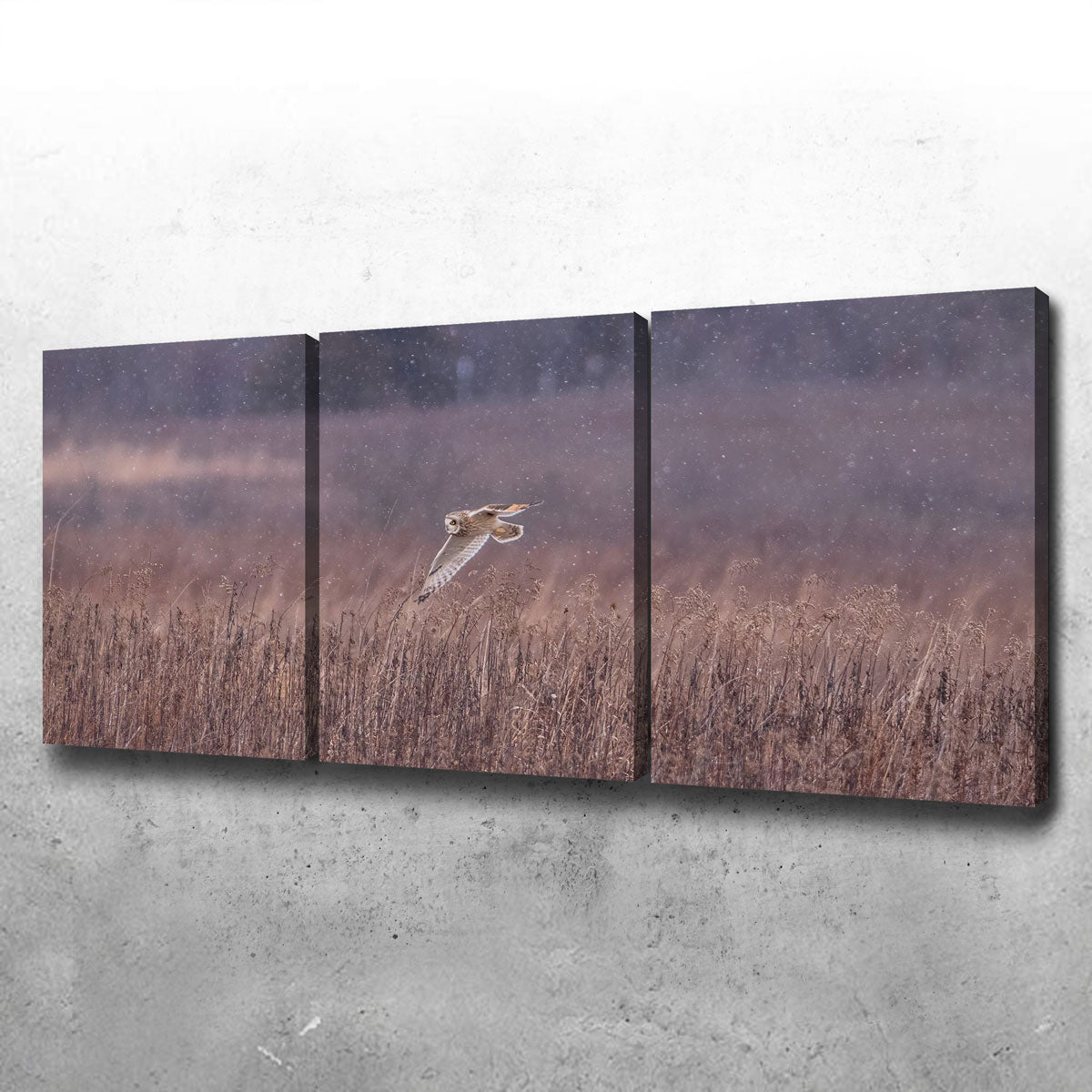 Stunning Owl in the Snow Wall Art by Dennis Maida