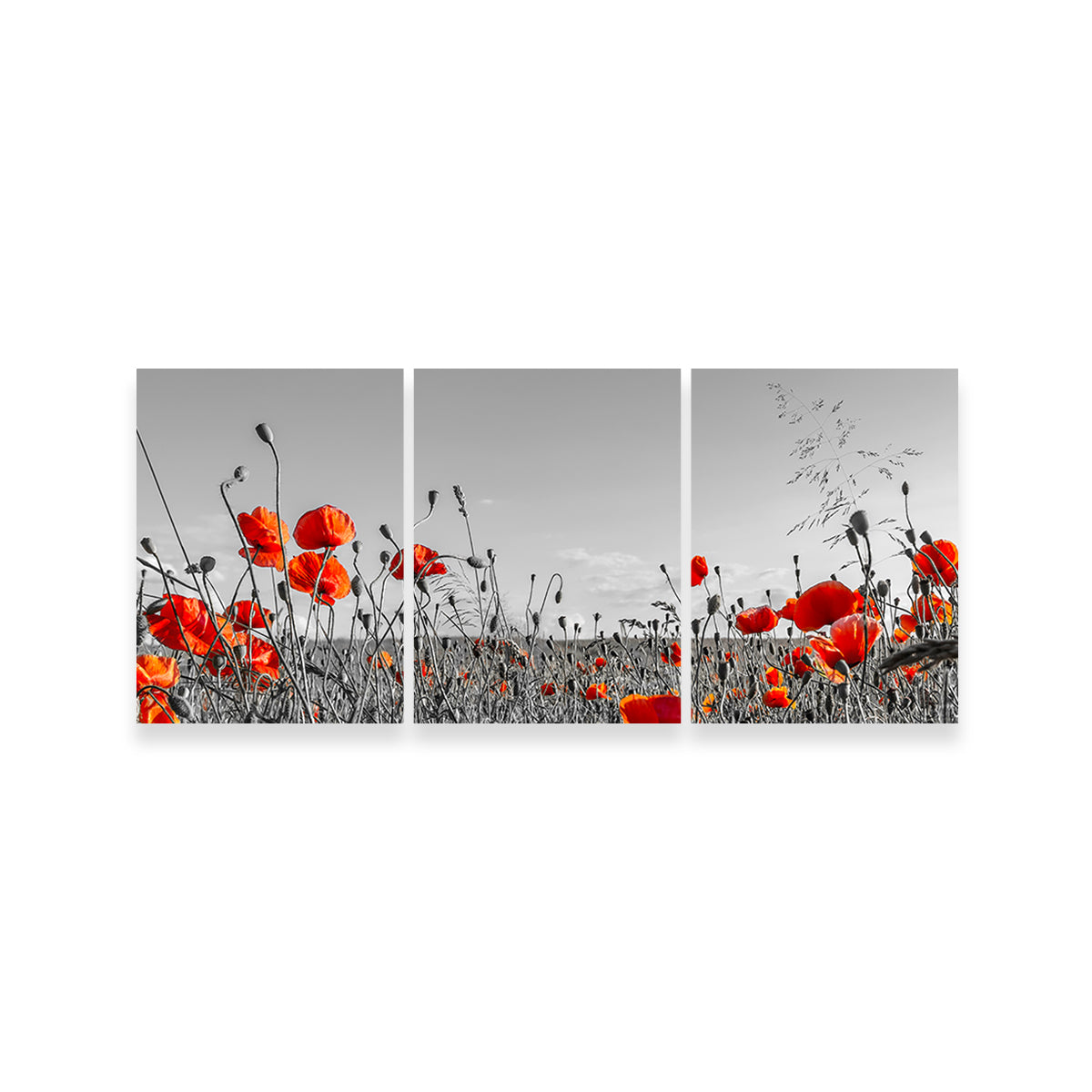 Gorgeous Lovely Poppy Field Wall Art for Home Decor