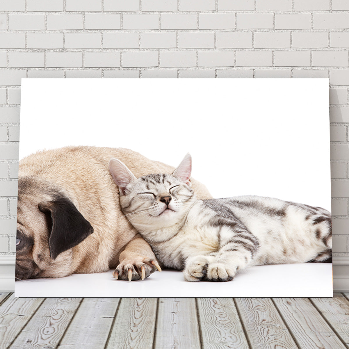 Adorable Pug and Cat Wall Art for Home Decor