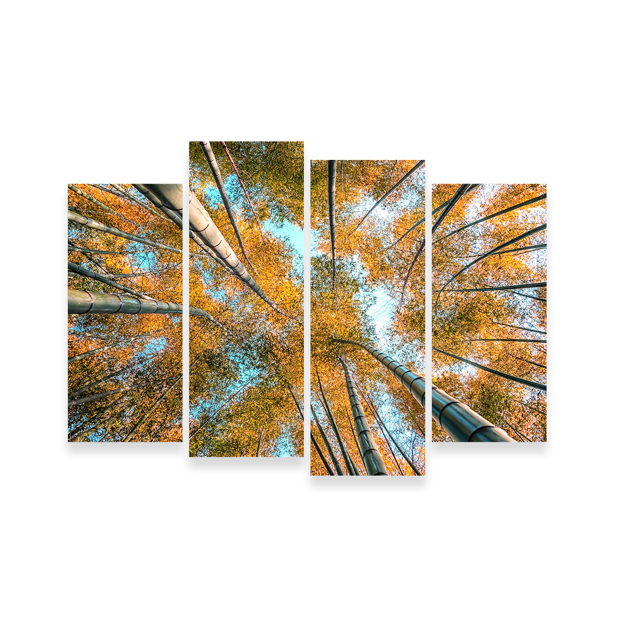 Stunning Into The Grove Wall Art for Your Home Decor