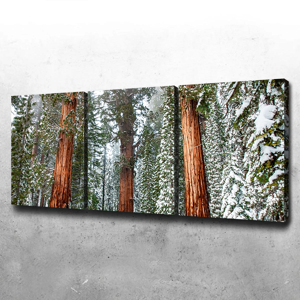 Kyle Sherry's Exquisite General Wall Art