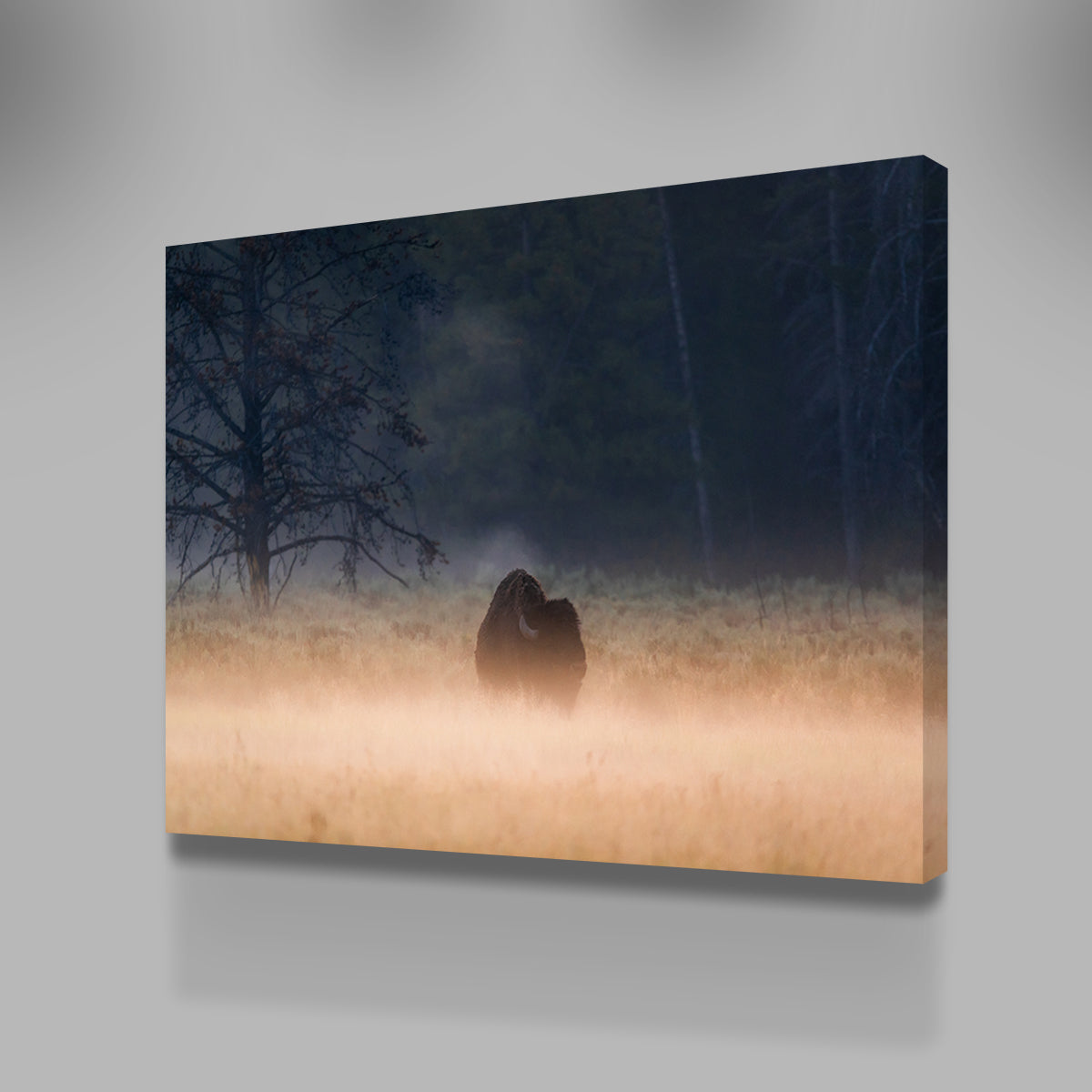Enchanting Foggy Morning Wall Art by Lucas Moore
