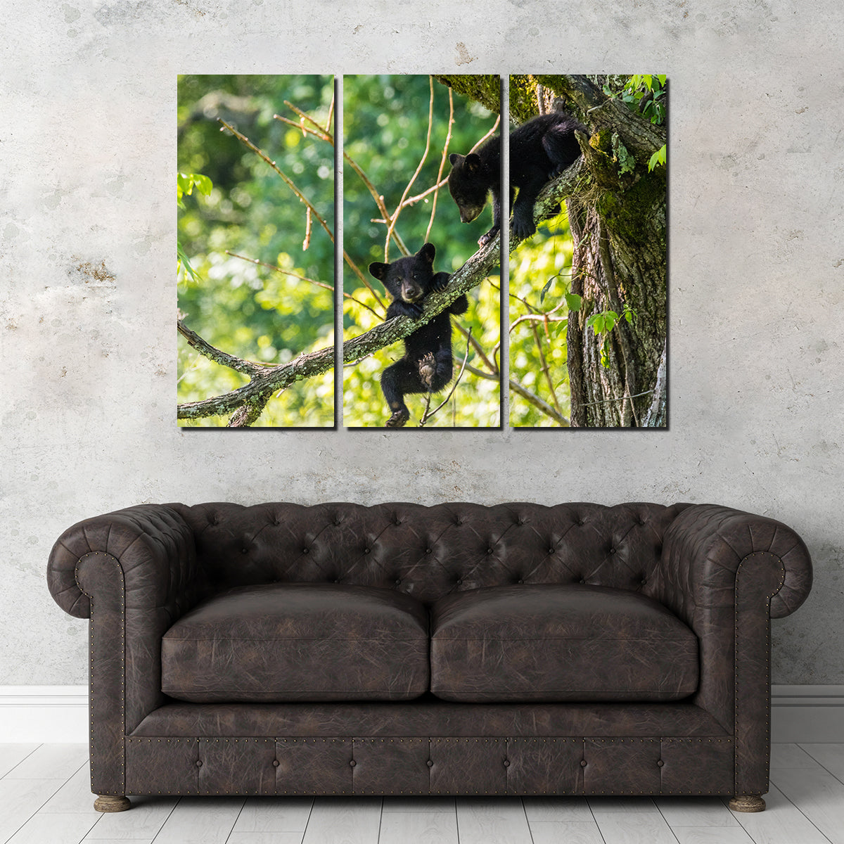 Adorable Black Bear Cubs Playing Wall Art - Perfect for Home Decor