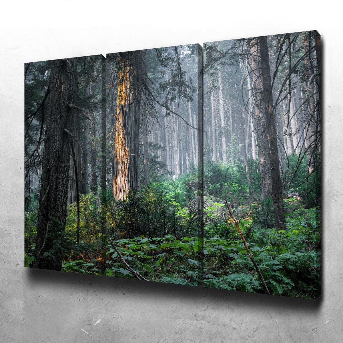 Exquisite Revelstoke Wall Art by Mike Cotton