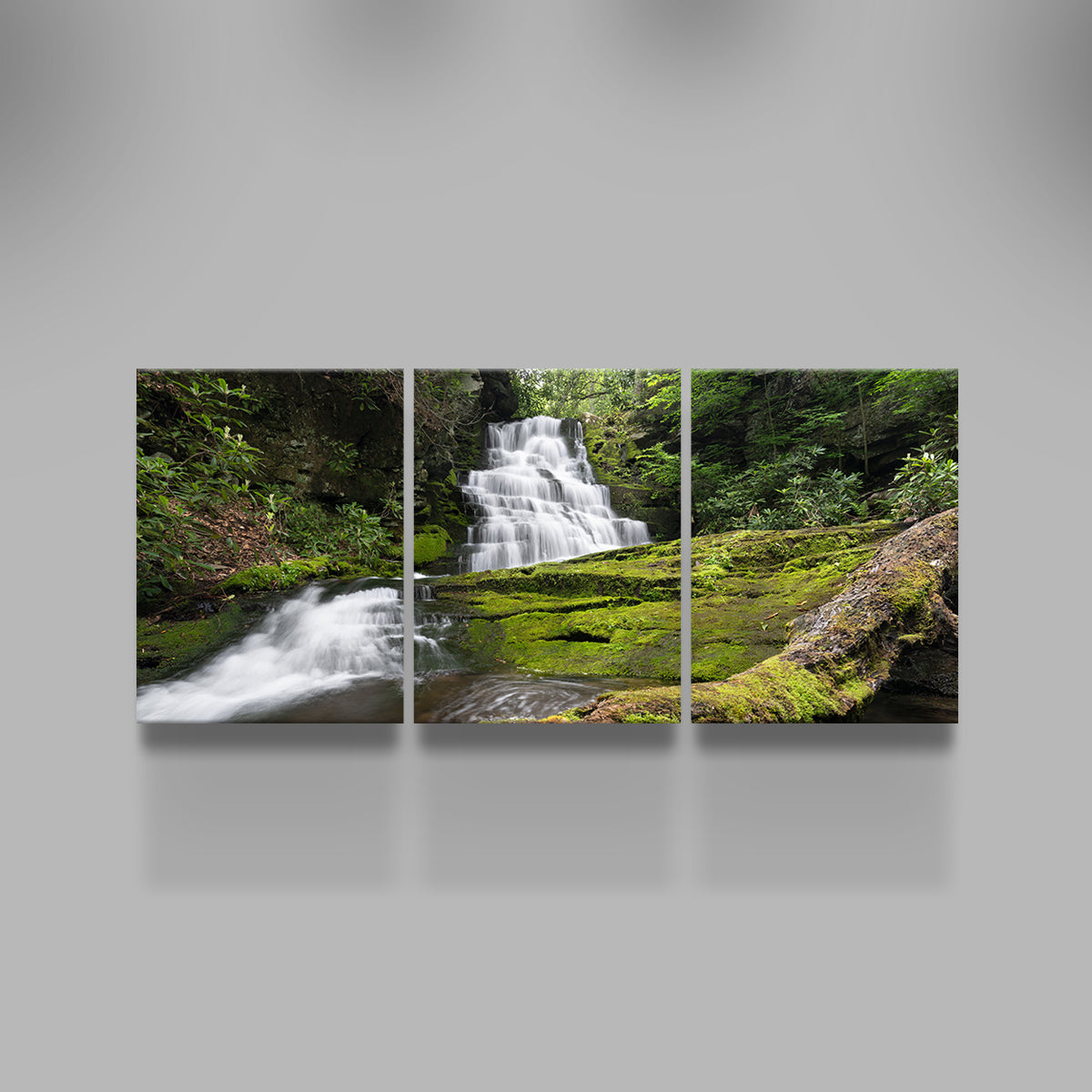 Stunning Rattlesnake Falls Wall Art by Shaun Mayer