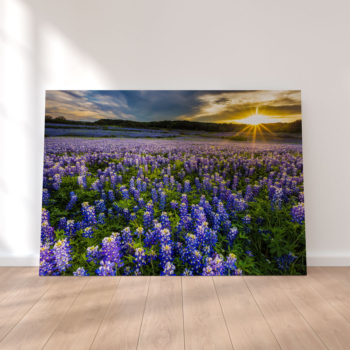 Gorgeous Texas Bluebonnet Field at Muleshoe Bend Wall Art for Home Decor