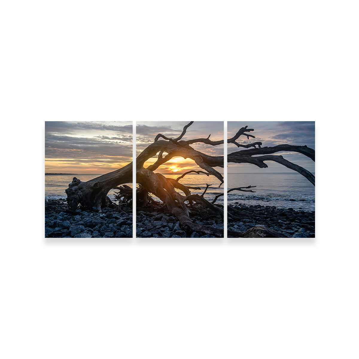 Exquisite Jekyll Island, Georgia Wall Art by Barry Pack