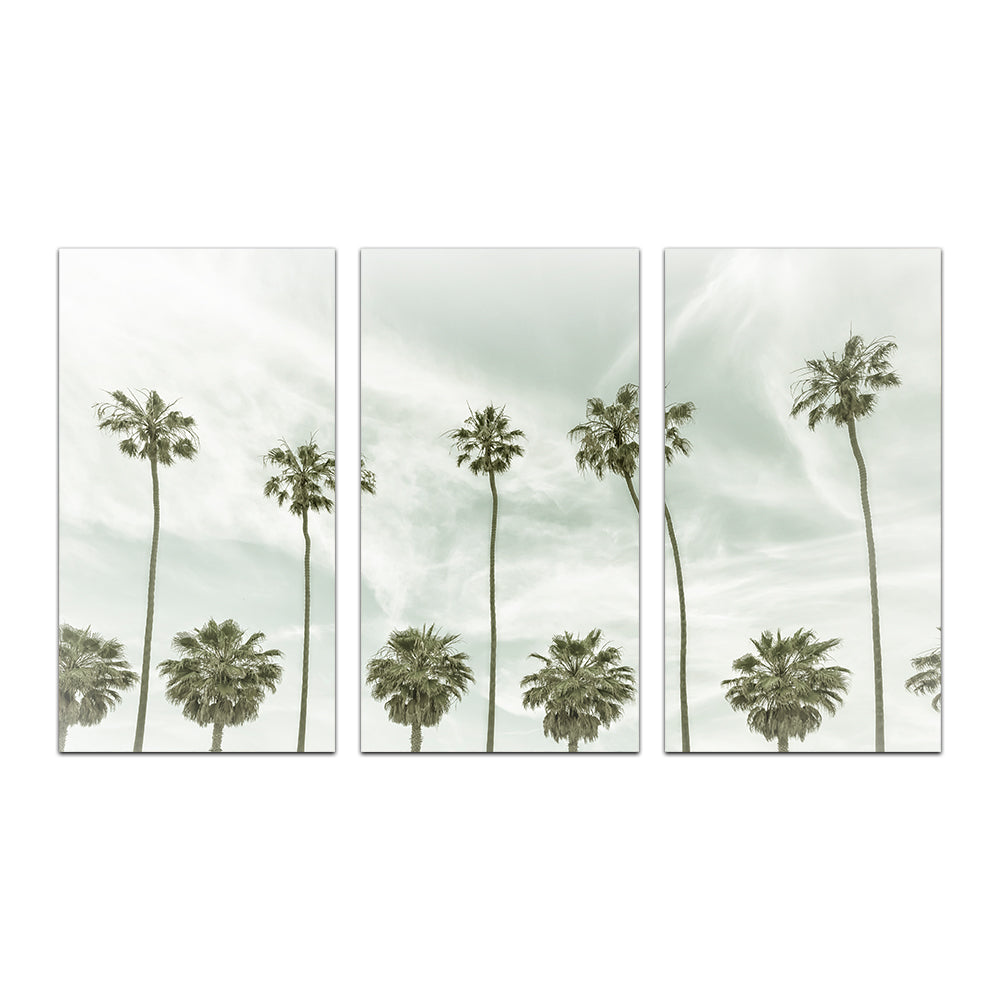 Stunning Palm Trees and Clouds Wall Art by Melanie Viola