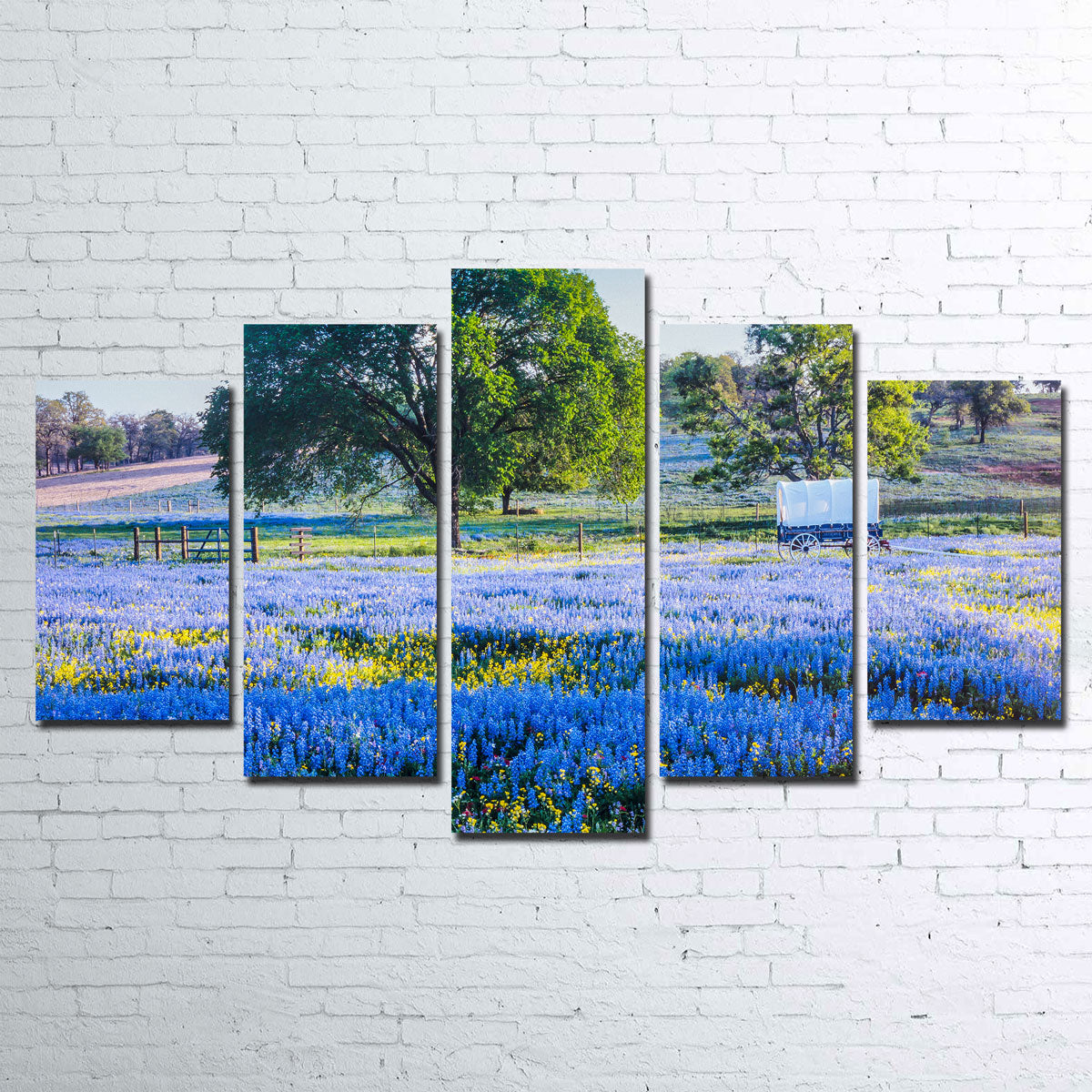 Gorgeous Texas Hill Country in Spring Wall Art for Stunning Home Decor