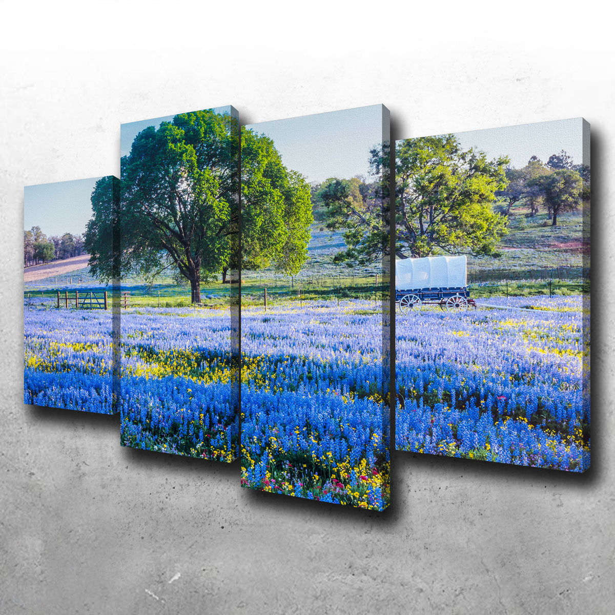 Gorgeous Texas Hill Country in Spring Wall Art for Stunning Home Decor