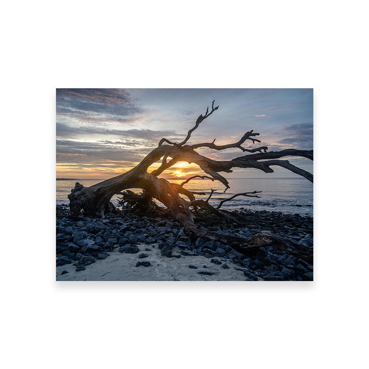 Exquisite Jekyll Island, Georgia Wall Art by Barry Pack