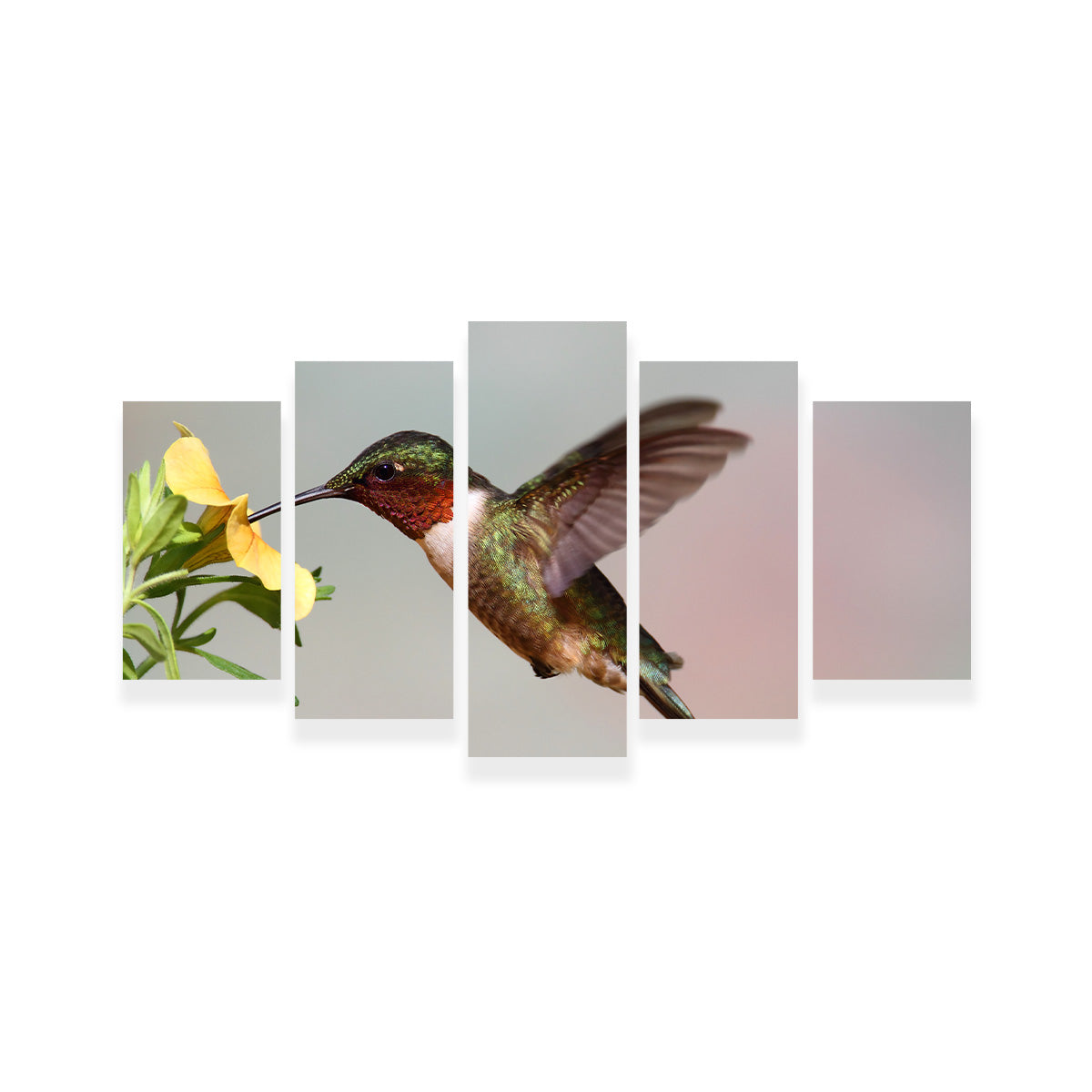 Exquisite Ruby Throated Hummingbird Wall Art for Stunning Decor
