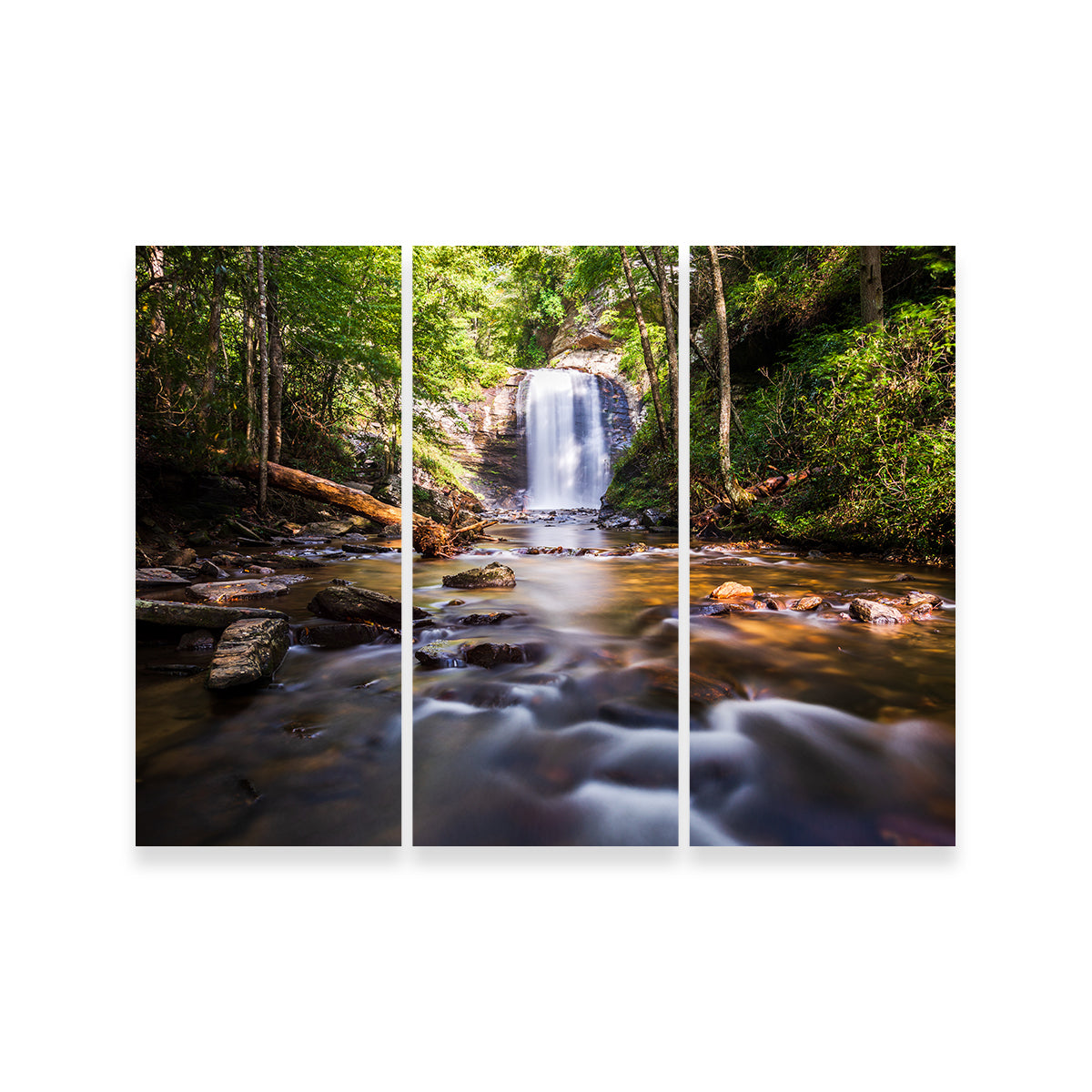 Looking Glass Falls, North Carolina Stunning Wall Art by Barry Pack