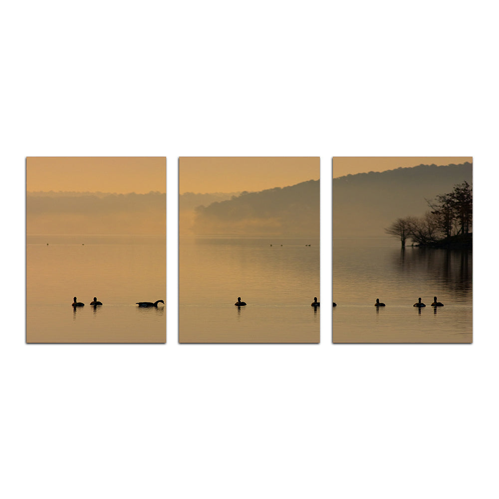 Stunning Geese on Lake Degray Wall Art for Your Home Decor