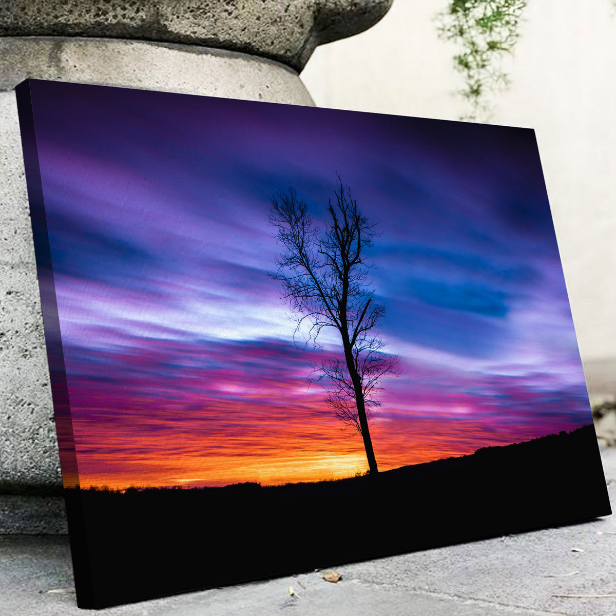 Stunning Lonely Sunset Wall Art by Lucas Moore