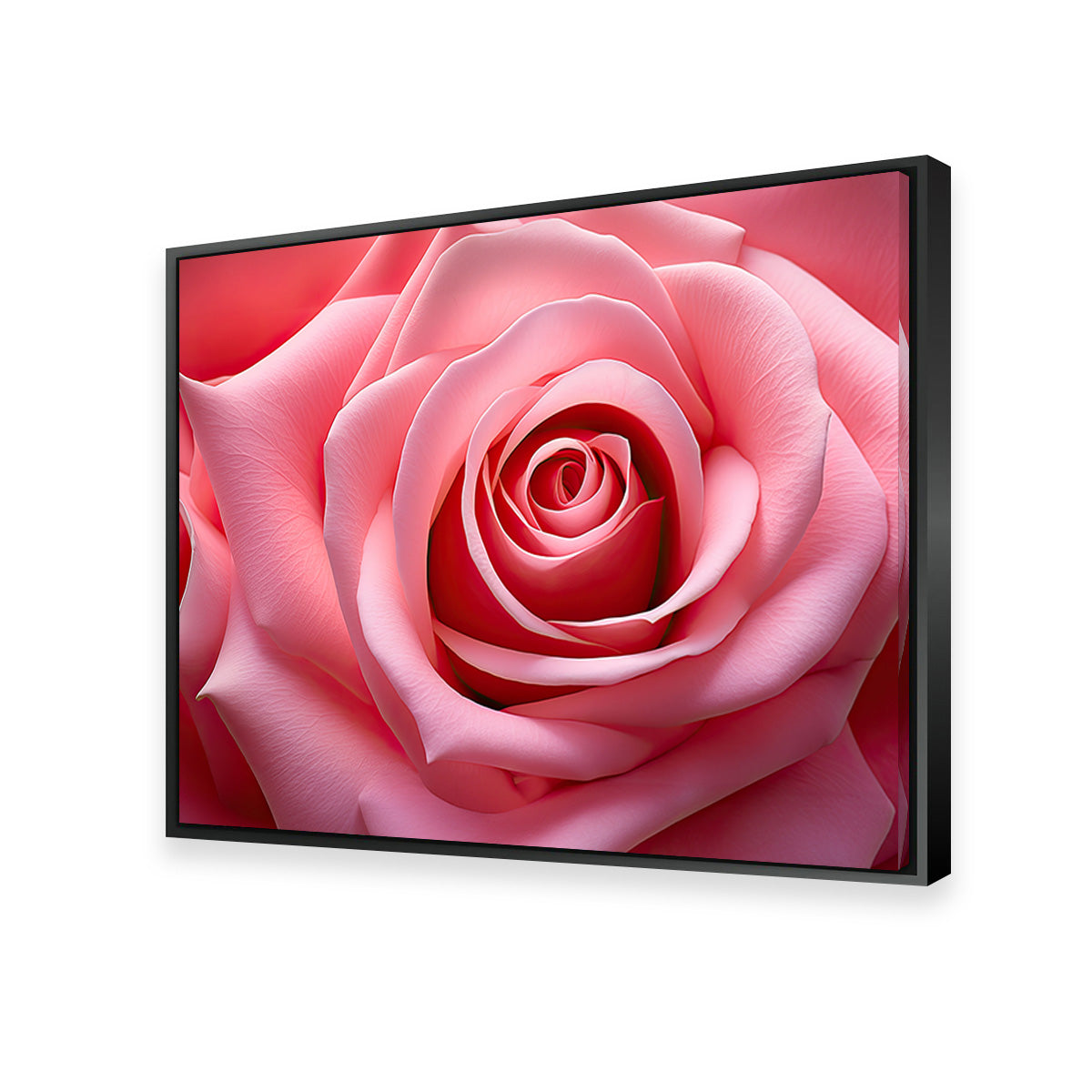 Stunning Light Pink Rose Art Print