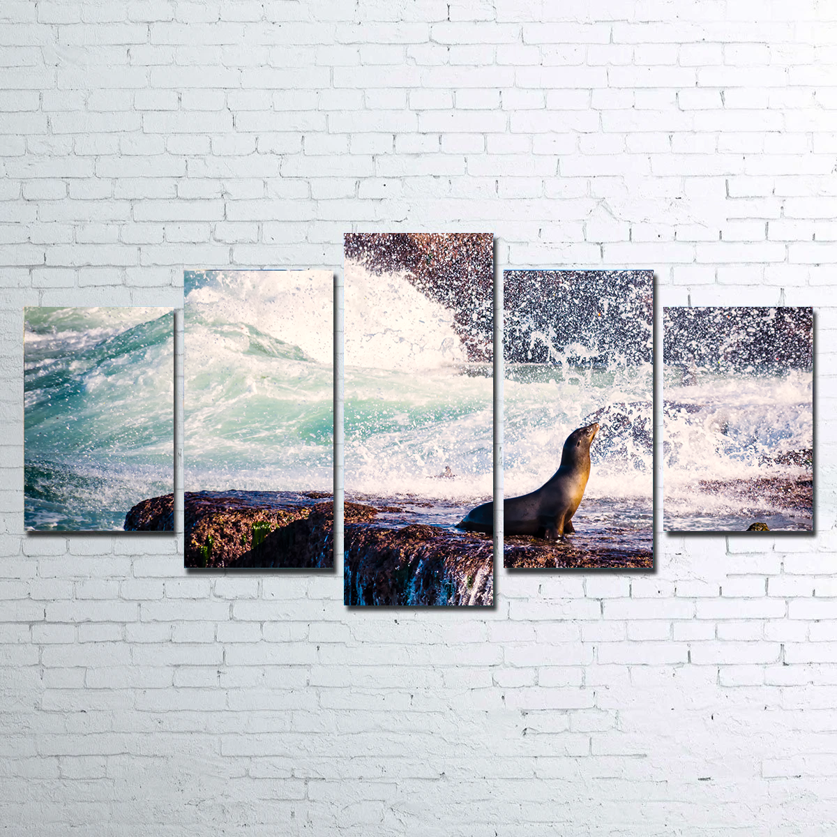 Stunning Sea Lion Surf La Jolla Wall Art for Coastal Home Decor