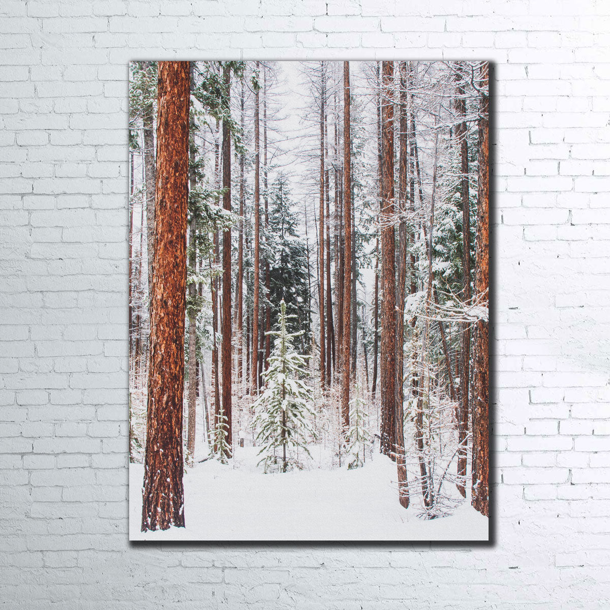 Lois Creek Stunning Wall Art by Mike Cotton