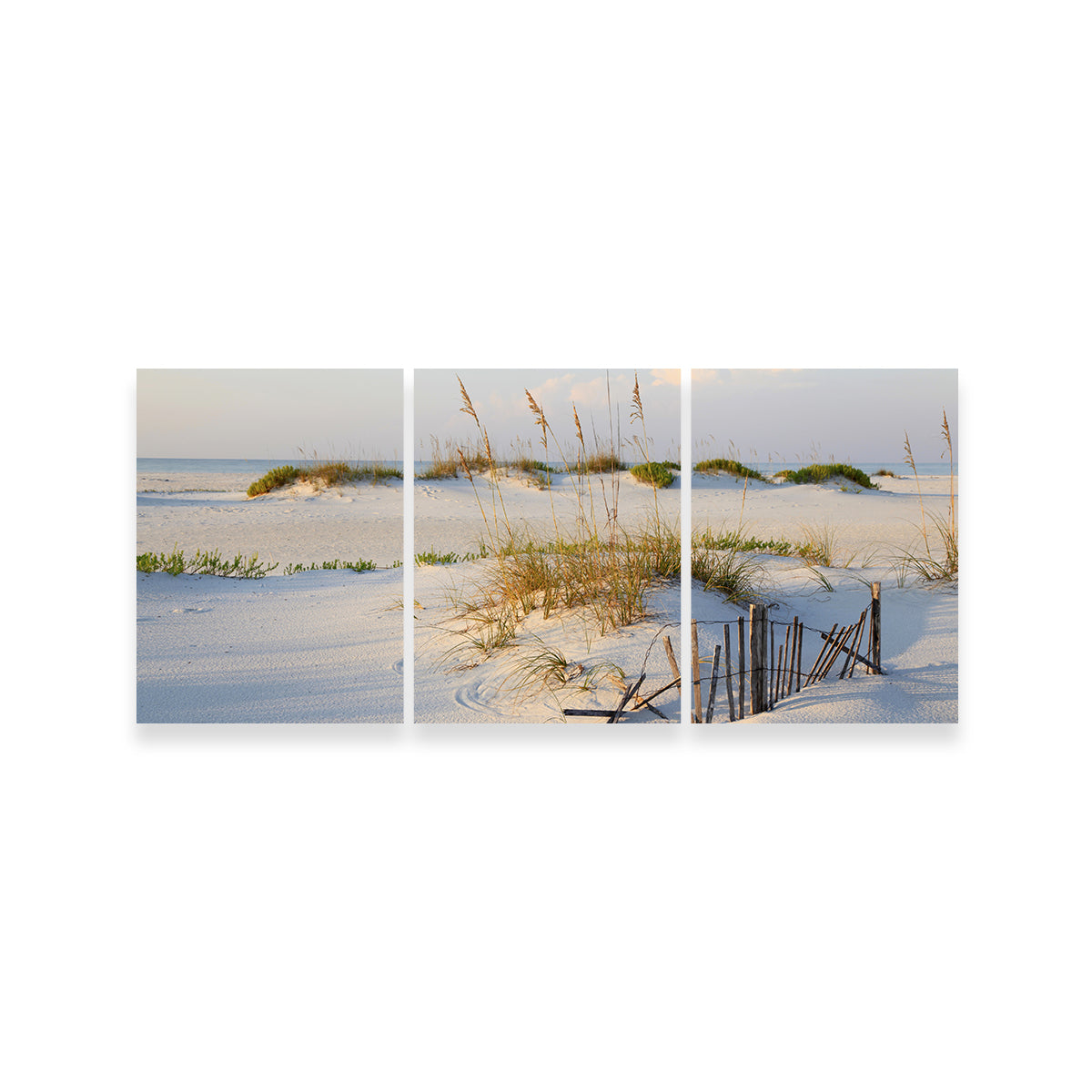 Stunning Sand Dunes and Sea Oats Wall Art for Your Home Decor