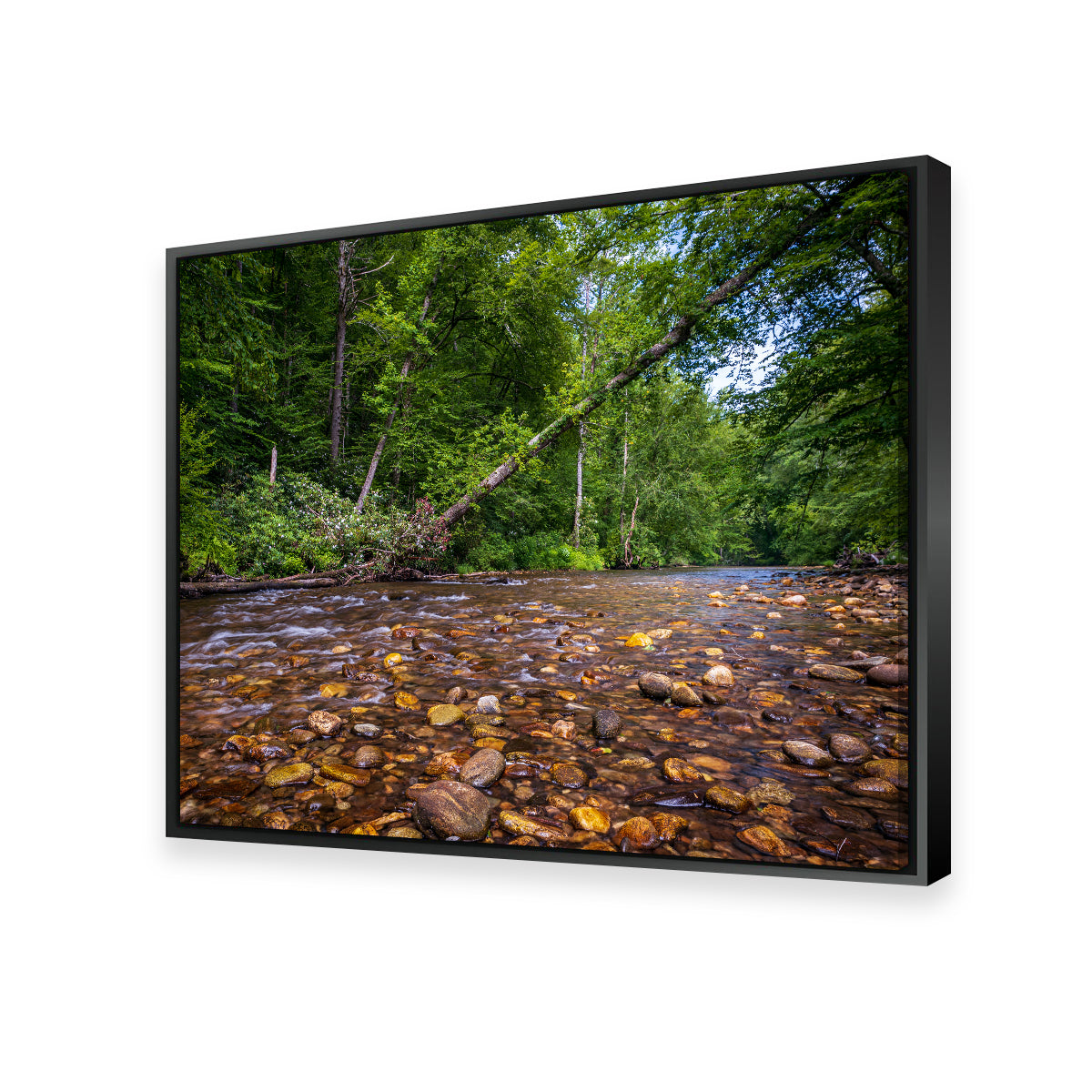 Stunning Blue Ridge Pky NC Wall Art by Barry Pack