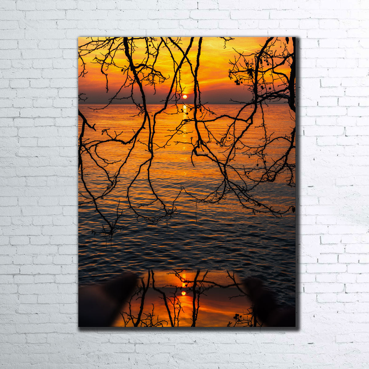 Captivating A Game of Reflections Wall Art by Stefano Baltieri