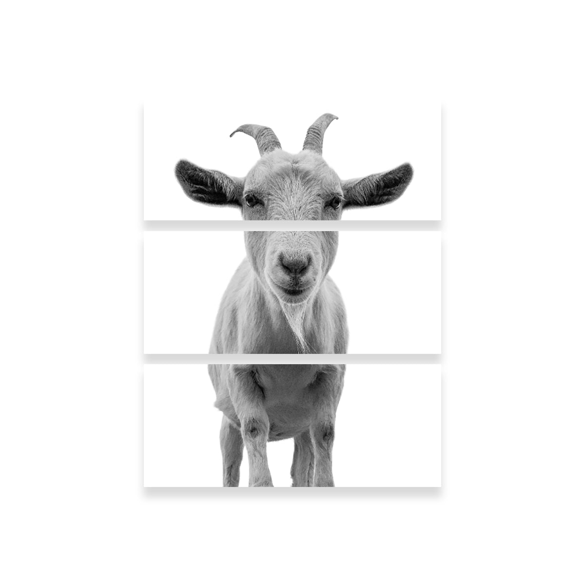 Hilarious Goat Wall Art by Lawisi - Museum Quality