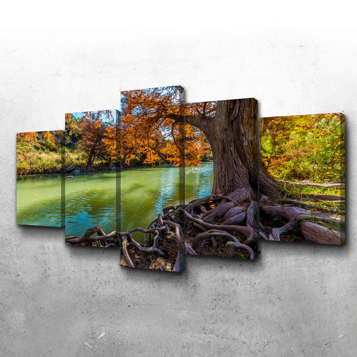 Stunning Guadalupe State Park Wall Art - Museum Quality Canvas