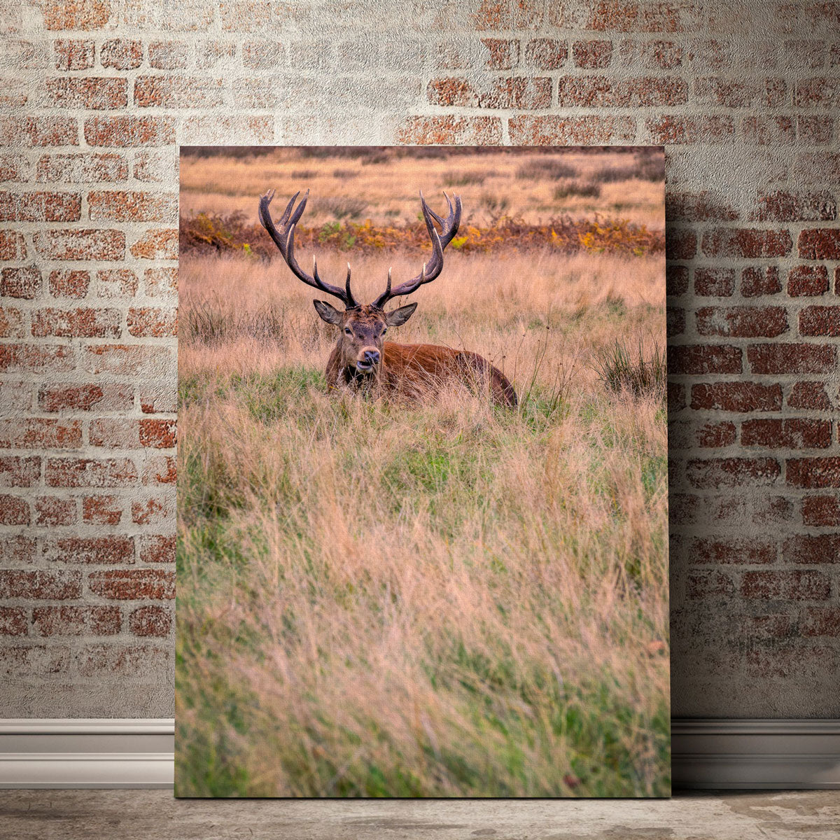 Stunning Richmond Park Wall Art by Mike Cotton
