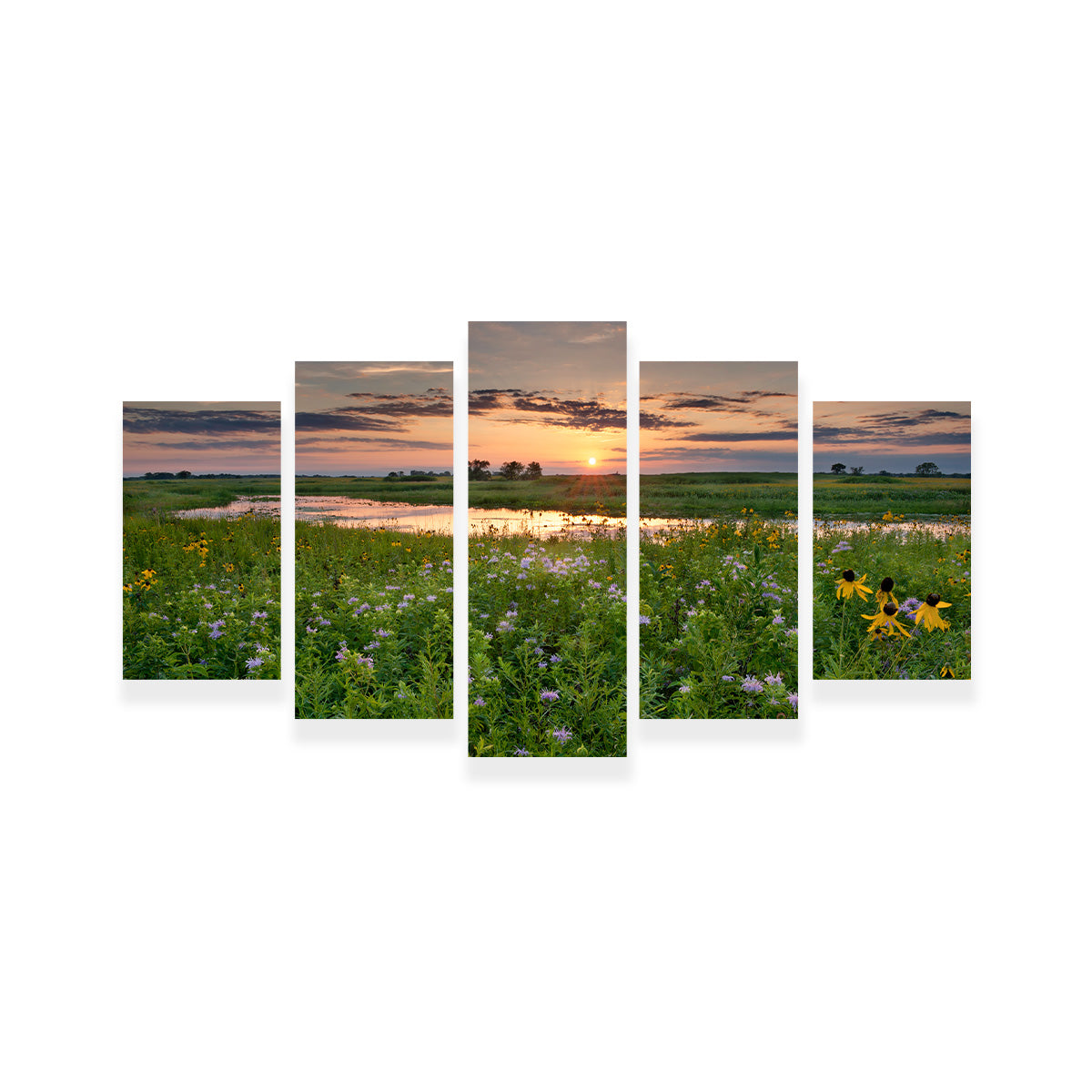 Stunning Open Field in Illinois Wall Art for Your Home Decor