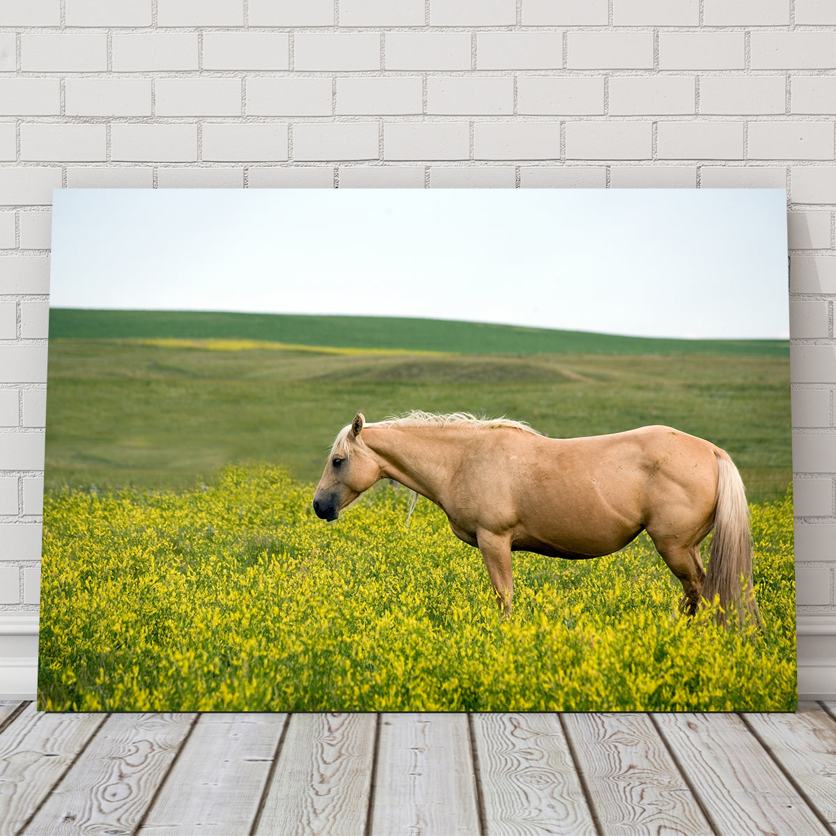 Stunning Palomino Quarter Horse Wall Art for Your Home Decor