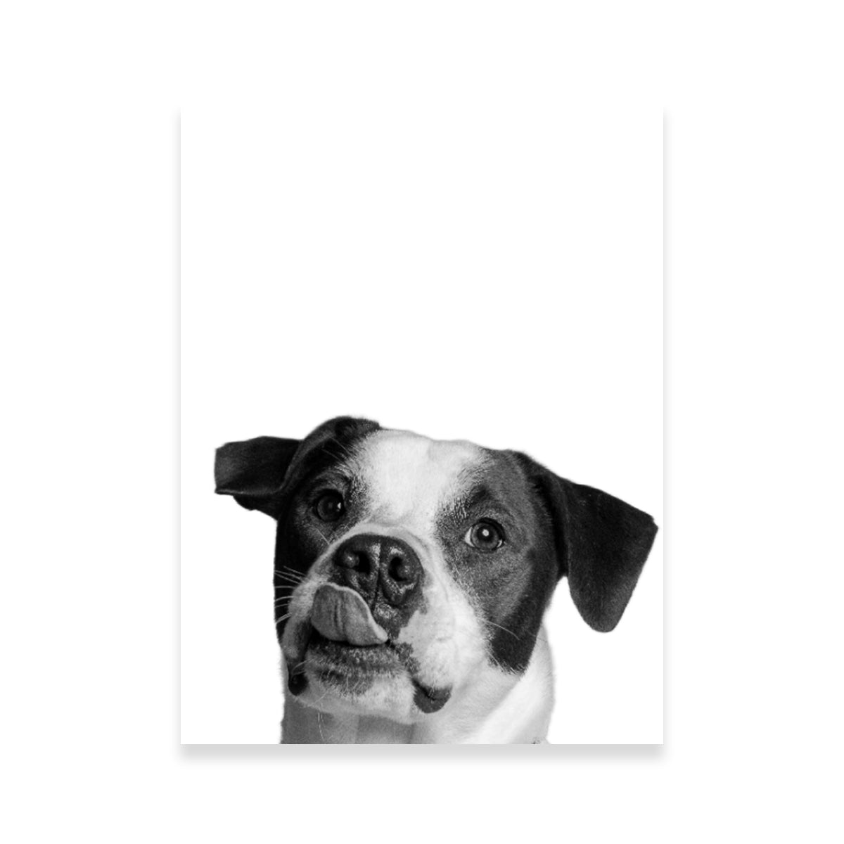 Stylish Dog Wall Art by Lawisi