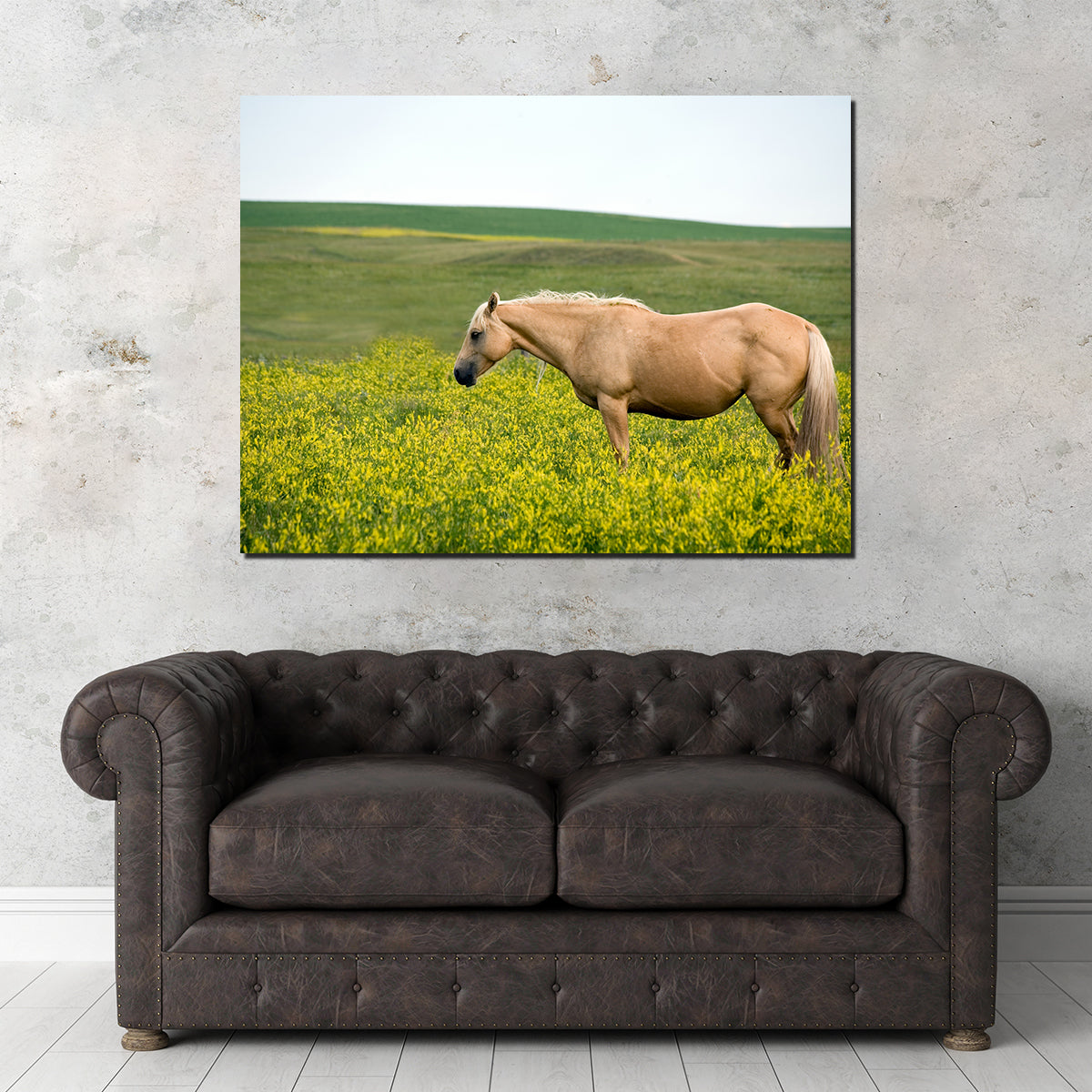 Stunning Palomino Quarter Horse Wall Art for Your Home Decor
