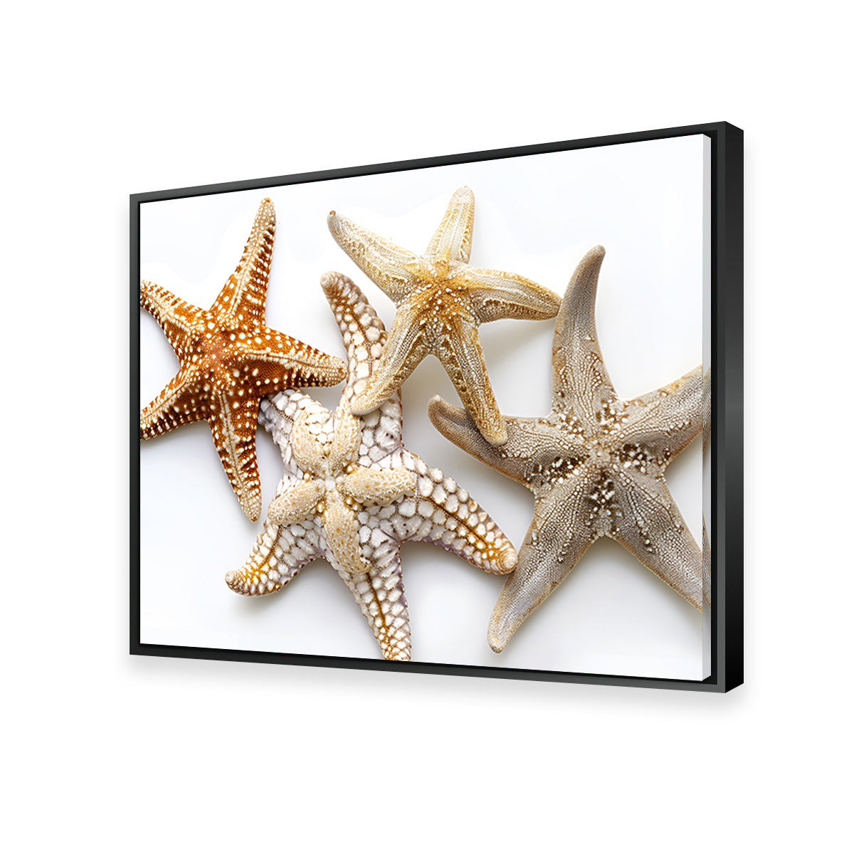 Gorgeous Starfishes Wall Art for Stunning Home Decor
