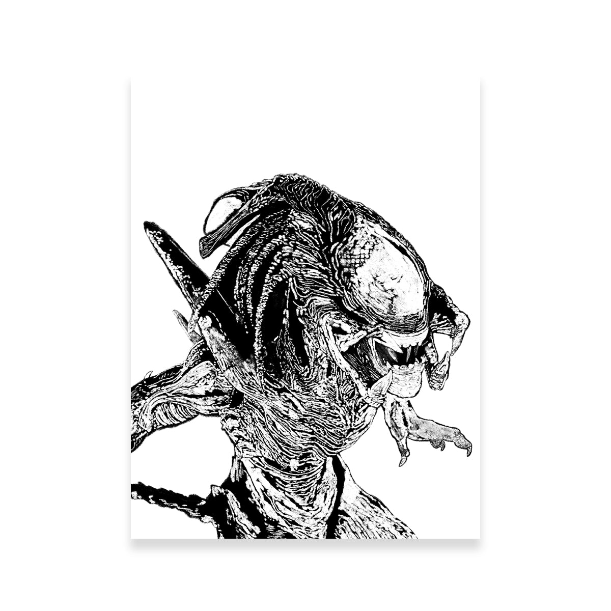 Stunning Predalien Wall Art for Home Decor