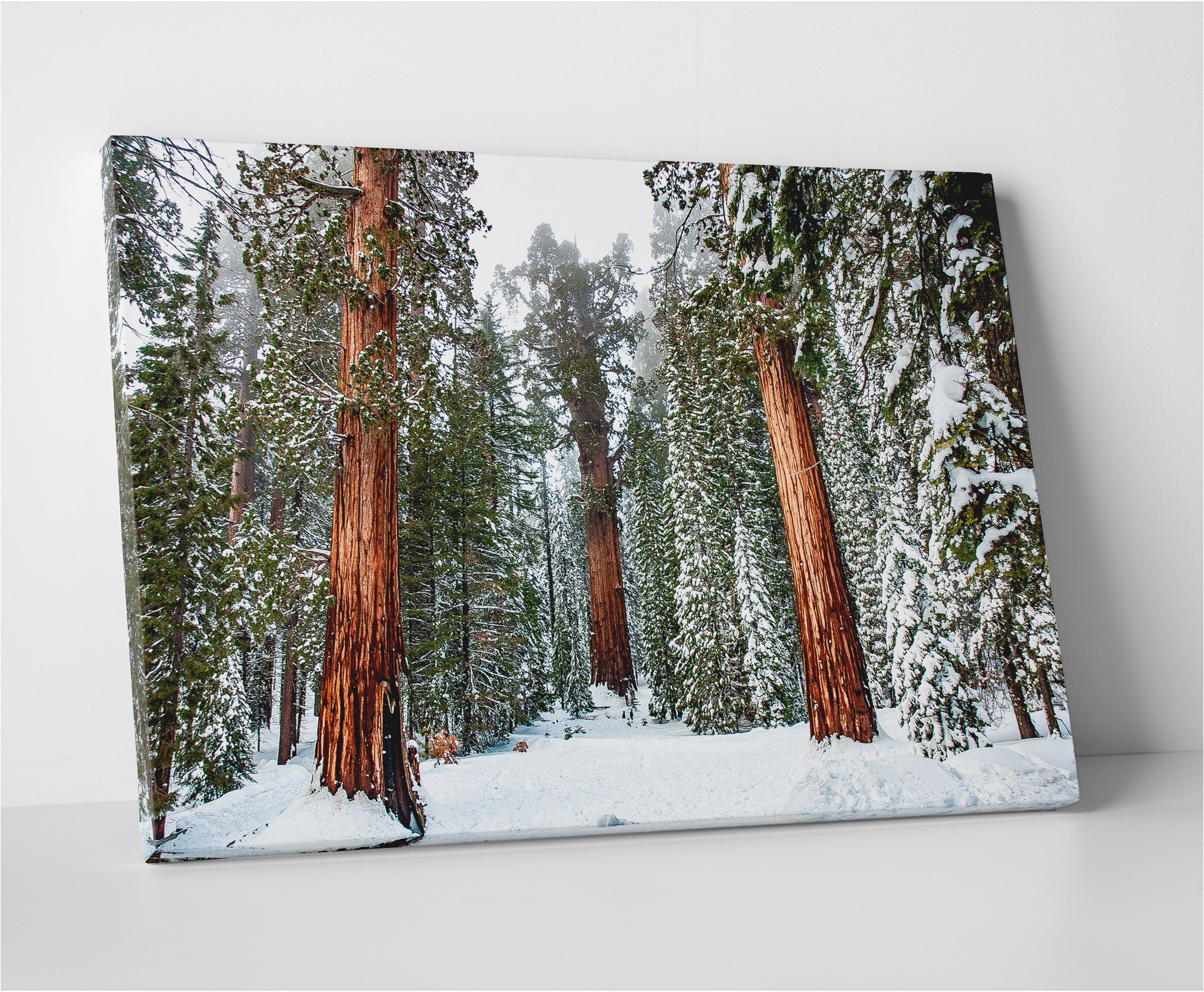 Kyle Sherry's Exquisite General Panoramic Wall Art