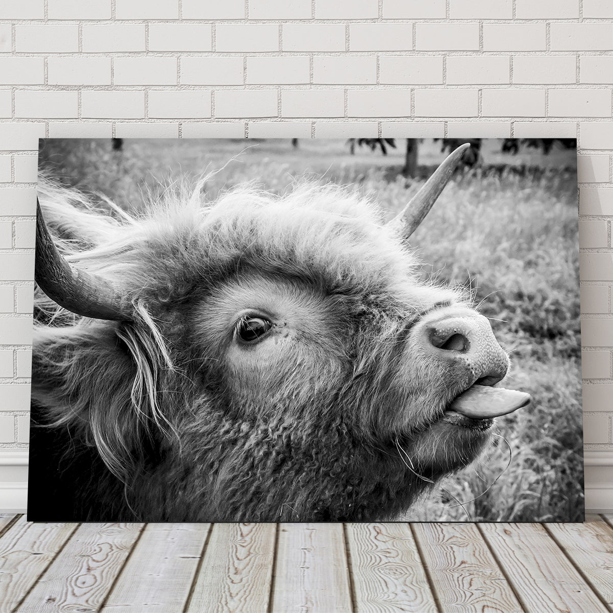 Hilarious Cow Wall Art for Home Decor