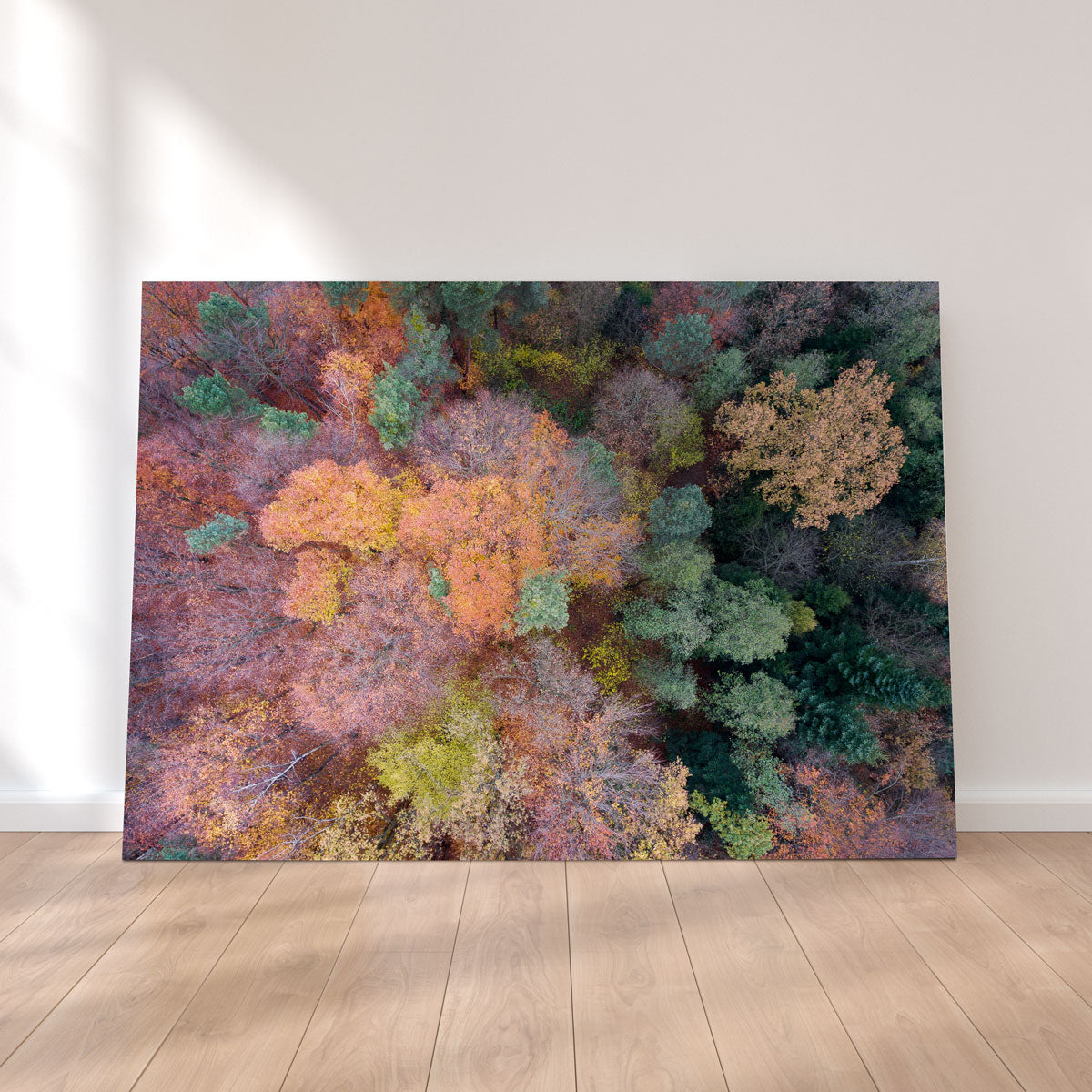 Stunning Orange and Green Wall Art by Karolis Janulis
