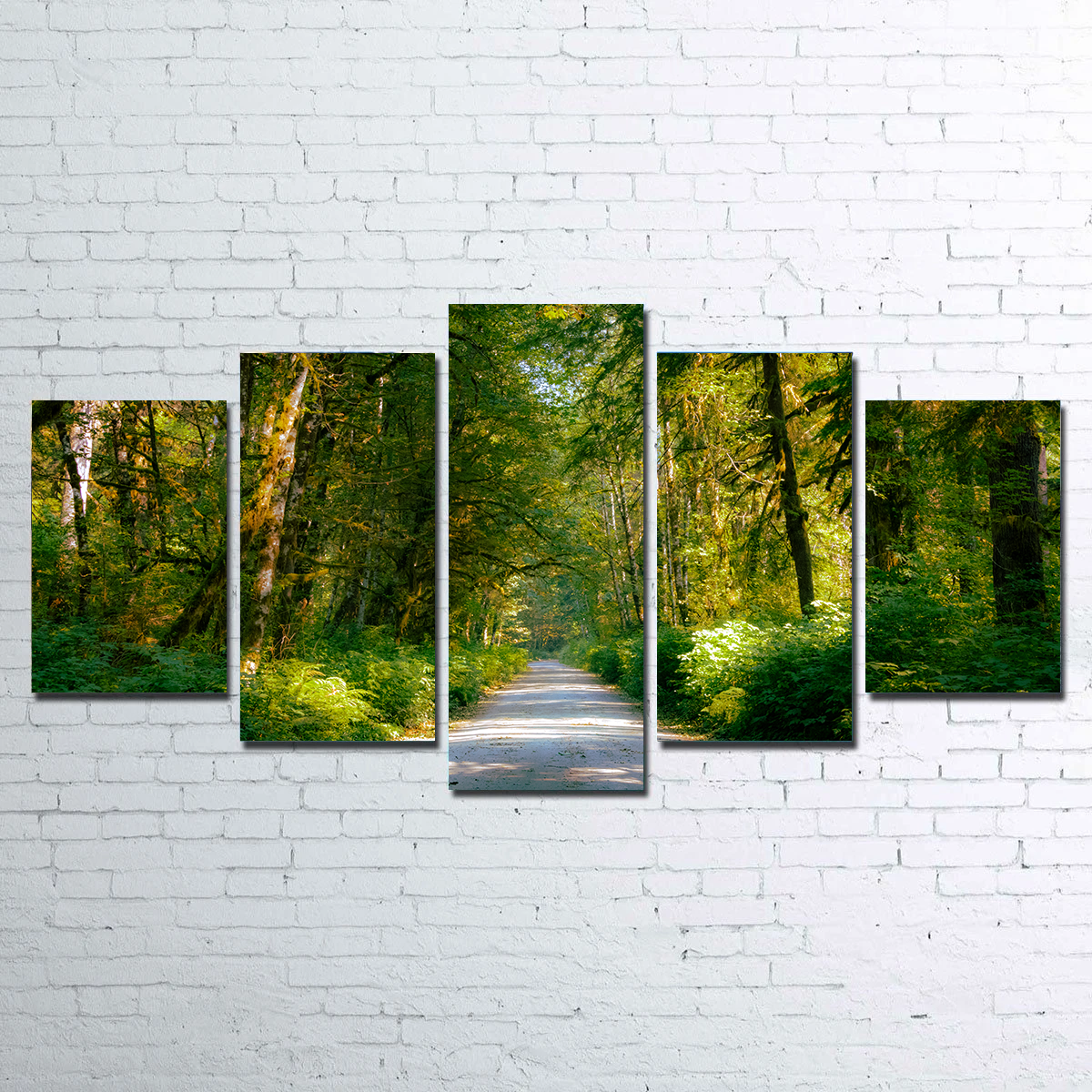 Exquisite Rainforest Road Wall Art by Kyle Sherry