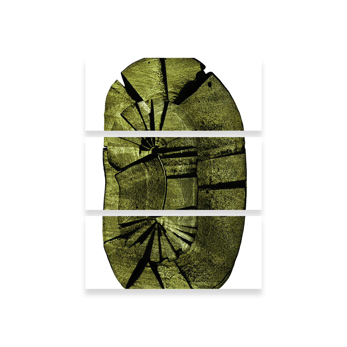 Exquisite Oval Stump Wall Art by Evgeny Vetrov