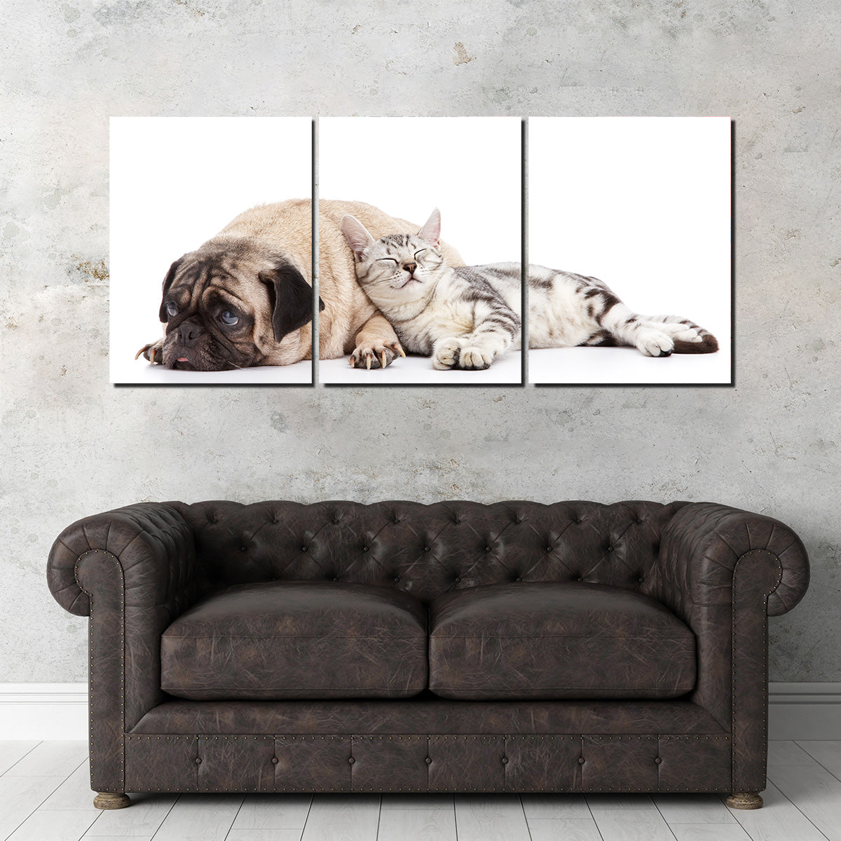 Adorable Pug and Cat Wall Art for Home Decor
