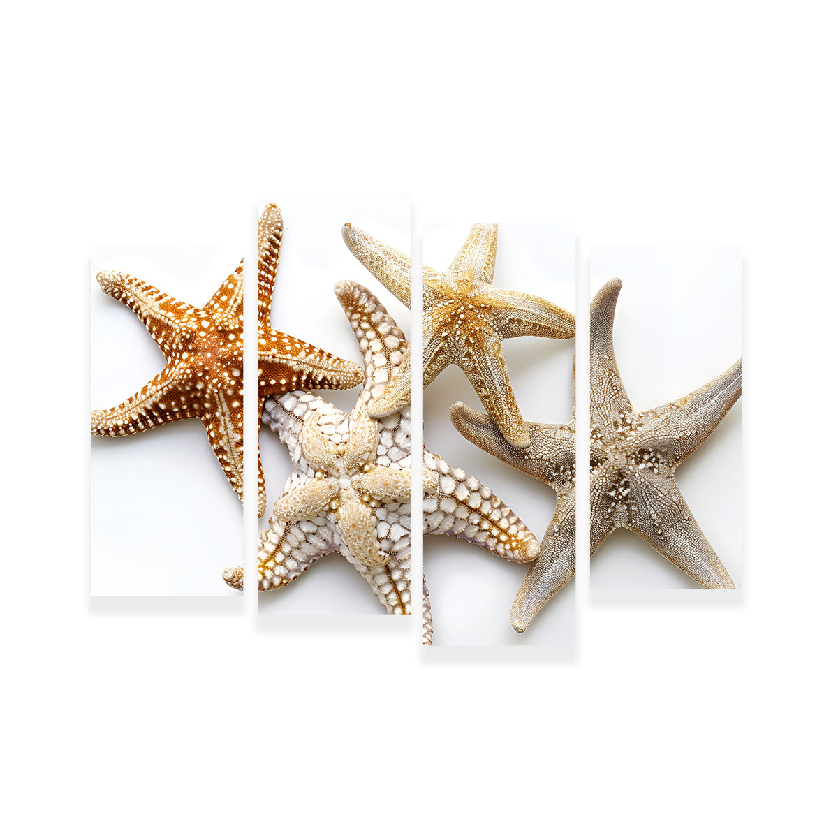 Gorgeous Starfishes Wall Art for Stunning Home Decor