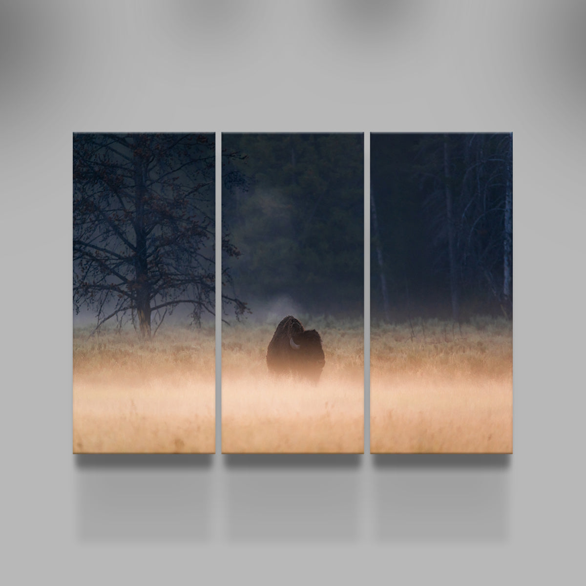 Enchanting Foggy Morning Wall Art by Lucas Moore