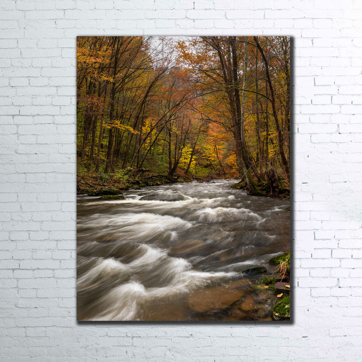 Stunning Tanner's River Wall Art by Shaun Mayer