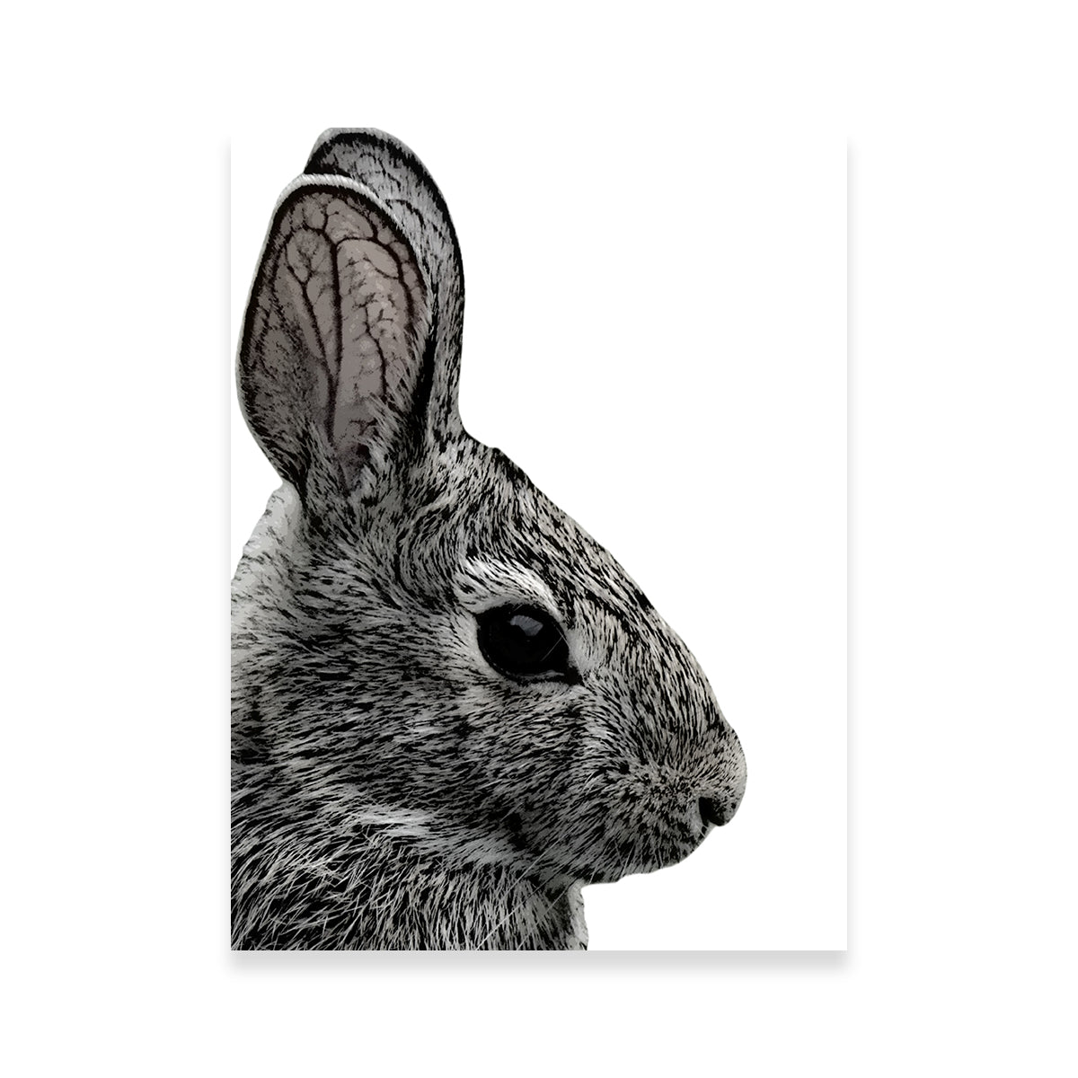 Exquisite Rabbit Sketch Wall Art by Lawisi