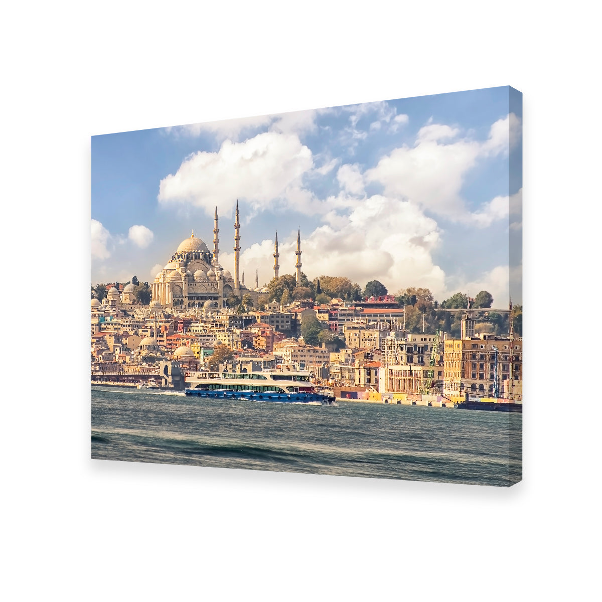 Exquisite Istanbul Wall Art by Manjik Pictures