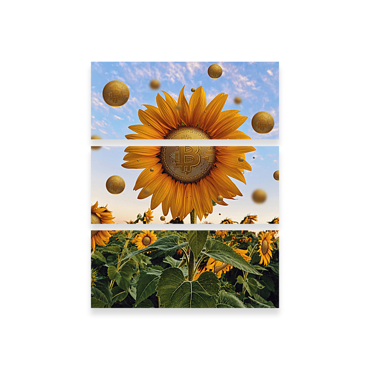 Exquisite Bitcoin Flower Wall Art for Stunning Home Decor